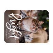 Meowy and Bright Cat Foto Magnet (Horizontal)