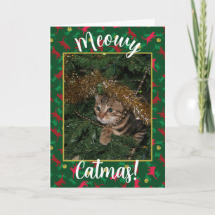 Meowy Catmas - Red Green Christmas Cat Pattern Feiertagskarte