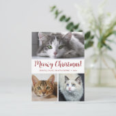 Meowy Christmas 3 Foto Feiertagspostkarte (Stehend Vorderseite)