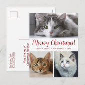 Meowy Christmas 3 Foto Feiertagspostkarte (Vorne/Hinten)