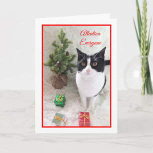Meowy Christmas Cat Card — Achtung, jeder Feiertagskarte