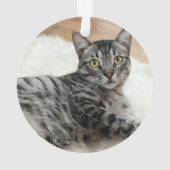 MEOWY CHRISTMAS Cat Foto Name Jahr Ornament (Rückseite)