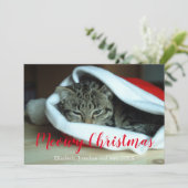 Meowy Christmas Cat Foto Weihnachten (Stehend Vorderseite)