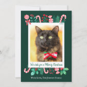 Meowy Christmas Cat Foto Weihnachten (Vorderseite)