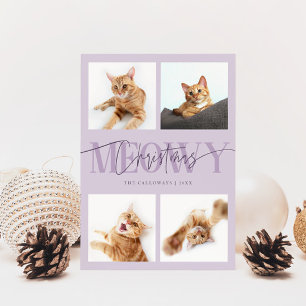 Meowy Christmas Cat Fotos Lila Weihnachten