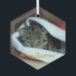 Meowy Christmas Cat Ornament Aus Glas<br><div class="desc">Heilige Weihnachtskatzenschmuck Foto. Fotovorlage via ixabay lizenziert unter CC0 und muss durch Ihr eigenes Foto ersetzt werden</div>