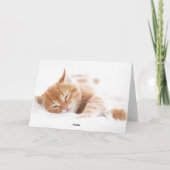 Meowy Christmas Cat Pet Foto Feiertagskarte (Rückseite)