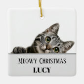 Meowy Christmas Custom Cat Photo & Name Ornament (Vorderseite)
