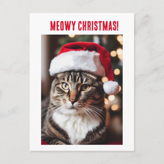 Meowy Christmas! Feiertagspostkarte (Vorderseite)