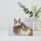 Meowy Christmas Feiertagspostkarte (Stehend Vorderseite)