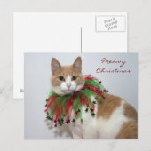 Meowy Christmas Feiertagspostkarte (Vorne/Hinten)