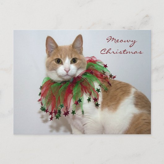 Meowy Christmas Feiertagspostkarte (Vorderseite)