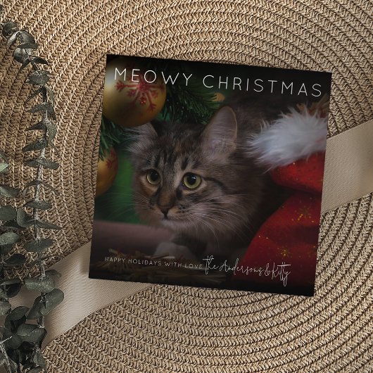 Meowy Christmas | Foto Weihnachten