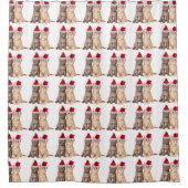 Meowy Christmas Kitten Duschvorhang (Vorderseite)