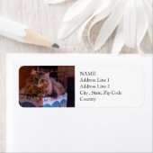 Meowy Christmas Kitty in einer Geschenkboxen (Insitu)