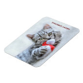 Meowy Christmas Niedlich Gray Tabby Cat Magnet (Linke Seite)