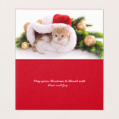 Meowy Christmas | Niedliches Cat Holiday Foto (Innenseite Aufgefaltet)