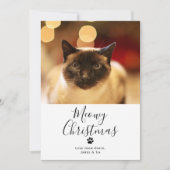 Meowy Christmas Pet Cat Weihnachtskarte Einladung (Vorderseite)