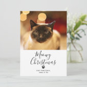 Meowy Christmas Pet Cat Weihnachtskarte Einladung (Stehend Vorderseite)