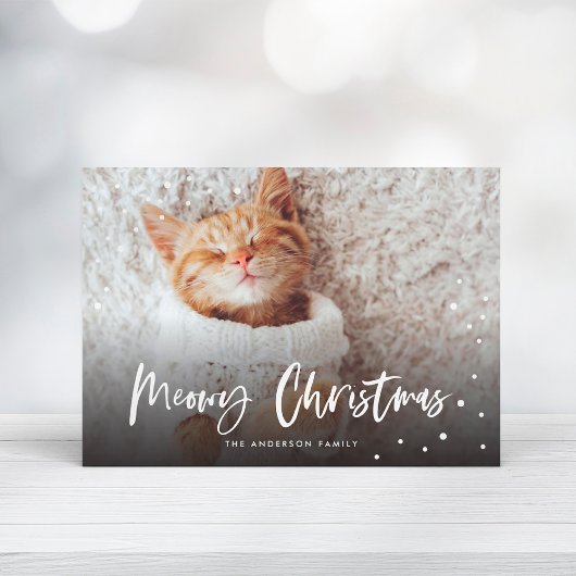 Meowy Christmas Snow Cat | FOTO Feiertagskarte