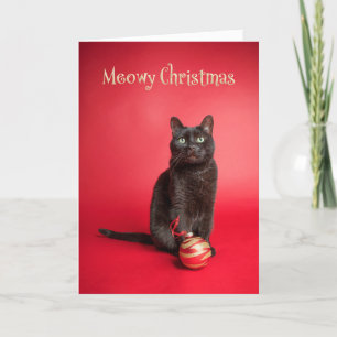 Meowy (frohe) Weihnachtskatze mit Ornament-Spaß Feiertagskarte