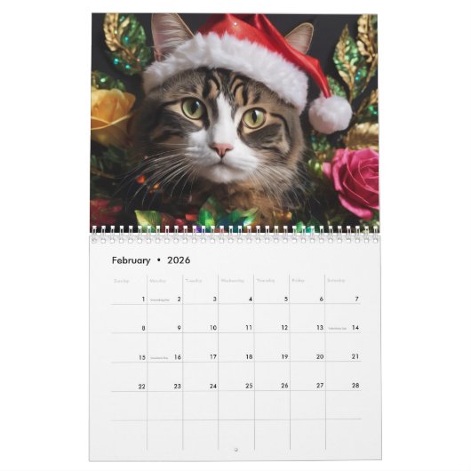 Meowy Kalender (Feb 2026)