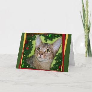 Meowy KissMouse Feiertagskarte
