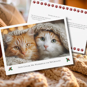 Meowy und Bright Cat Mom Festive Haustier Foto Url Feiertagskarte