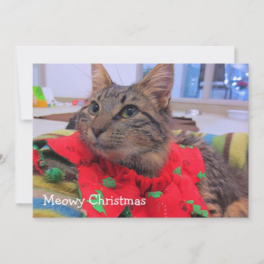 Meowy Weihnachten Dankeskarte (Vorderseite)