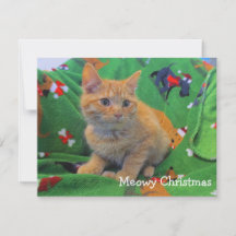 Meowy Weihnachten