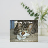 Meowy Weihnachten Ihre Katze Weihnachten Weihnacht Postkarte (Stehend Vorderseite)