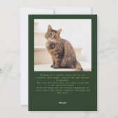 Meowy Weihnachten Katze Fotos Grün Weihnachten (Rückseite)