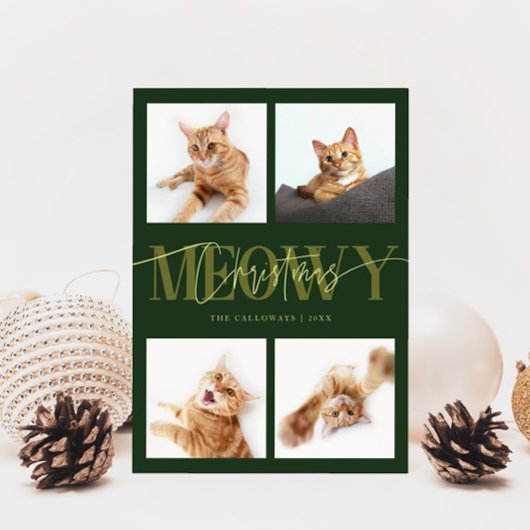 Meowy Weihnachten Katze Fotos Grün Weihnachten