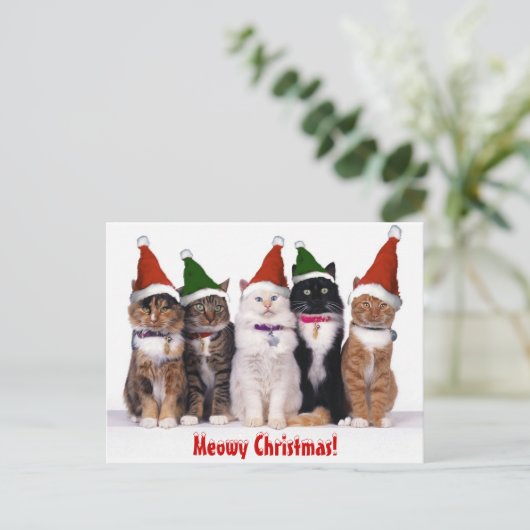 "Meowy Weihnachten!" Katzen Feiertagspostkarte (Stehend Vorderseite)