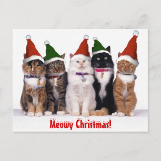 "Meowy Weihnachten!" Katzen Feiertagspostkarte