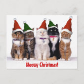 "Meowy Weihnachten!" Katzen Feiertagspostkarte (Vorderseite)