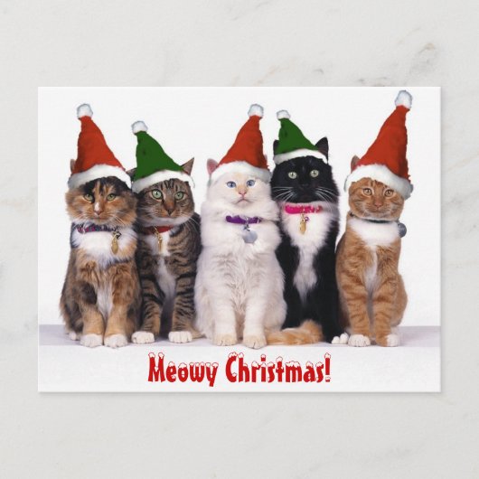 "Meowy Weihnachten!" Katzen Feiertagspostkarte (Vorderseite)