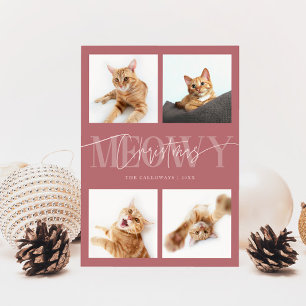 Meowy Weihnachten Katzen Fotos Rosa Weihnachten