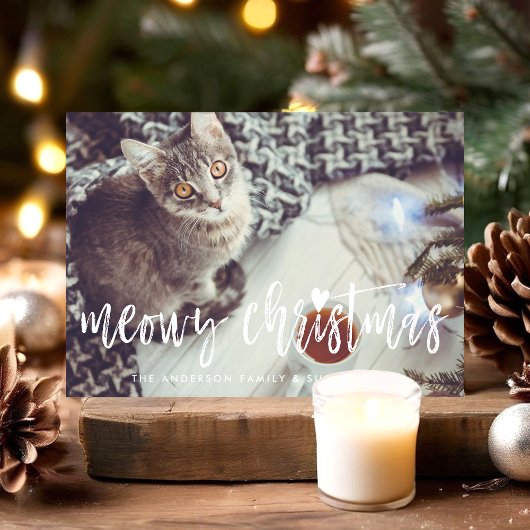 Meowy Weihnachten Niedliche Skript Modernes Pet Ca