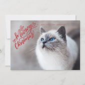 Meowy Weihnachten Rote Hand Briefe Cat Full Foto (Vorderseite)