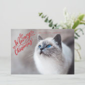 Meowy Weihnachten Rote Hand Briefe Cat Full Foto (Stehend Vorderseite)