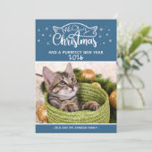 Meowy Weihnachten und eine falsche Fotokarte für d (Stehend Vorderseite)