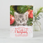Meowy Weihnachten und eine falsche Fotokarte für d (Stehend Vorderseite)