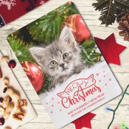 Meowy Weihnachten und eine falsche Fotokarte für d
