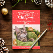 Meowy Weihnachten und eine falsche Fotokarte für d