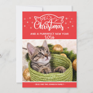 Meowy Weihnachten und eine falsche Fotokarte für d