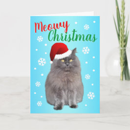 Meowy Weihnachten von der Katze
