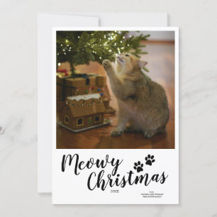 Meowy Weihnachts Script Custom Cat Card Feiertagskarte