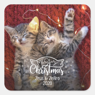 Meowy Weihnachts Spaß Katzenfresser Foto Liebhaber Quadratischer Aufkleber