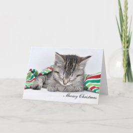 Meowy Weihnachtskarte Feiertagskarte